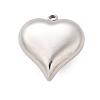 304 Stainless Steel Pendants STAS-Q349-02E-P-1