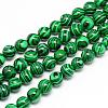 Synthetic Malachite Beads Strands G-T053-6mm-05-1