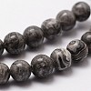 Natural Map Stone/Picasso Stone/Picasso Jasper Beads Strands G-G735-27-10mm-3