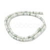 Natural Green Spot Jasper Beads Strands G-L528-13-2