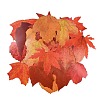 50Pcs Maple Leaf Theme Paper Stickers STIC-P017-C01-4