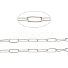 Tarnish Resistant 304 Stainless Steel Paperclip Chains CHS-F010-01E-P-1