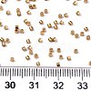 FGB 11/0 Grade A Glass Seed Beads X-SEED-S030-1219-4