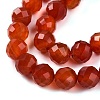 Dyed Natural Agate Beads Strands G-T141-16A-01-4