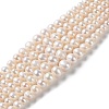 Natural Cultured Freshwater Pearl Beads Strands PEAR-E018-67-1