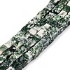 Natural Green Spot Jasper Beads Strands G-T139-6x6-23A-4