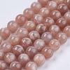 Natural Sunstone Beads Strands G-J157-10mm-07-1