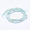 Natural Larimar Beads Strands G-K203-48-2