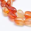 Natural Carnelian Beads Strands G-K203-29A-3