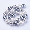 Shell Pearl Beads Strands BSHE-P030-03C-1