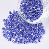 8/0 Two Cut Glass Seed Beads SEED-S033-10A-02-1