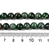 Natural Imperial Jasper Beads Strands G-N342-63B-5