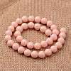 Polished Round Grade A Shell Pearl Bead Strands BSHE-M027-6mm-10-2