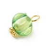 Transparent Acrylic Pendants PALLOY-JF01834-01-4