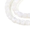 Natural Trochid Shell/Trochus Shell Beads Strands BSHE-T014-52A-01-3