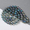 Electroplate Transparent Glass Beads Strands EGLA-I019-FR03-2