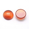 Natural Carnelian Cabochons G-P393-R41-12mm-2