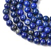 Natural Lapis Lazuli Beads Strands G-K366-G03-6mm-4