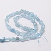 Natural Aquamarine Chip Bead Strands X-G-M298-20-2