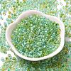 Transparent Glass Round Seed Beads X1-SEED-B001-05A-10-2
