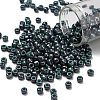TOHO 6/0 Round Beads X-SEED-TR06-1207-1