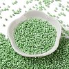 Baking Paint Glass Seed Beads SEED-S042-15A-08-2