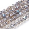 Natural Labradorite Beads Strands G-O176-04A-1