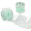 Polyester Deco Mesh Ribbons OCOR-TAC0024-004G-2
