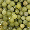 120pcs Natural Chinese Jade/Southern Jade Beads G-PA0001-08A-1