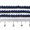 Dyed Natural Lapis Lazuli Beads Strands G-G143-A01-01-5