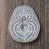 DIY Display Silicone Molds DIY-P074-07A-2