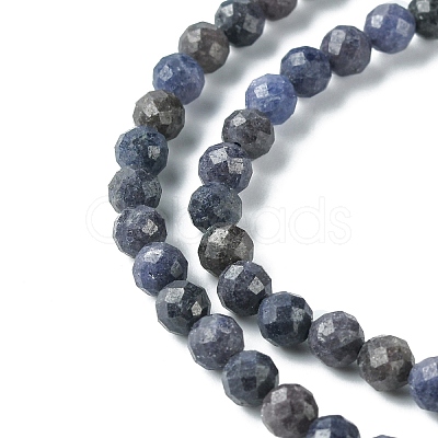 Natural Sapphire Beads Strands G-F748-M01-04-1