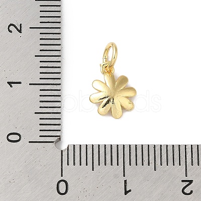 Brass Enamel Charms KK-L216-006G-05-1