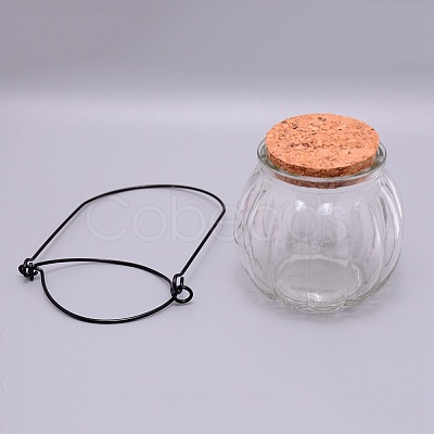 Empty Glass Wishing Bottle GLAA-WH0028-10-1