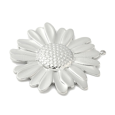 304 Stainless Steel Pendants STAS-L293-09D-P-1