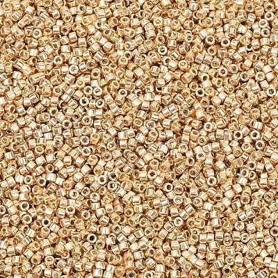 MIYUKI Delica Beads SEED-X0054-DB2501-1