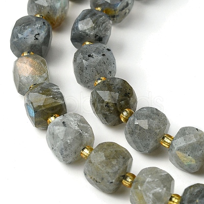 Natural Labradorite Beads Strands G-Q010-A25-01-1