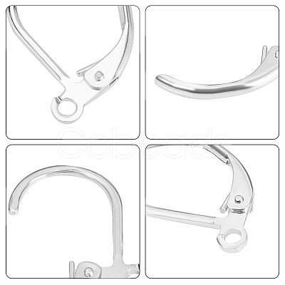 100Pcs 316L Surgical Stainless Steel Leverback Earring Findings STAS-BBC0010-61S-1