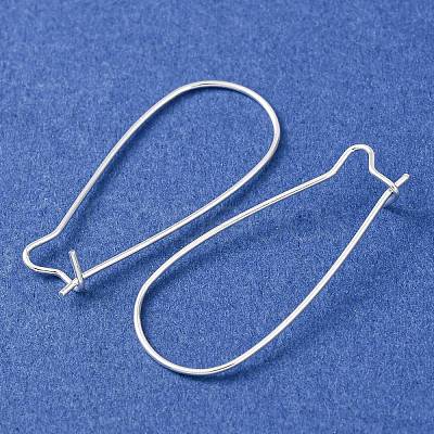 Brass Hoop Earrings Findings Kidney Ear Wires LS-EC221-S-1