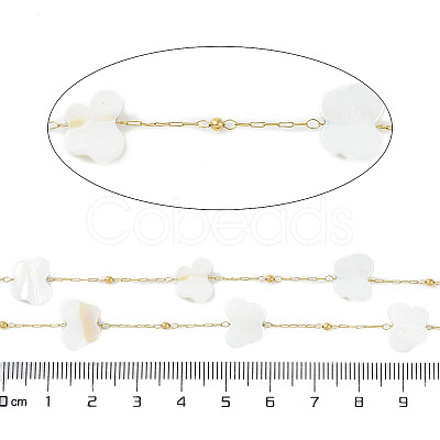 Butterfly Ion Plating(IP) 304 Stainless Steel Chains AJEW-Q150-03G-02-1