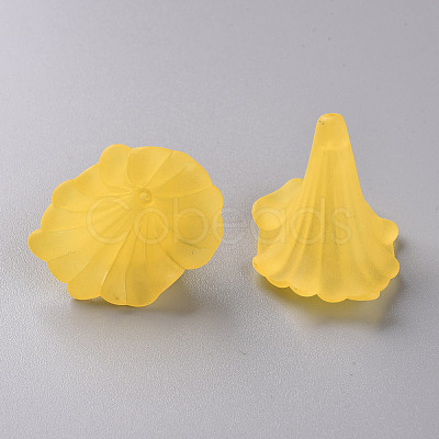Transparent Acrylic Beads BSF796-C09-1