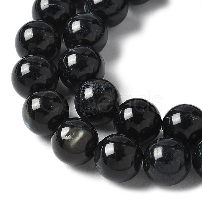 Natural Black Lip Shell Beads Strands SSHEL-C013-01D-1