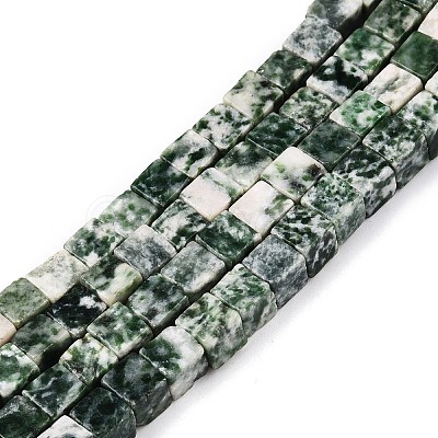Natural Green Spot Jasper Beads Strands G-T139-6x6-23A-1