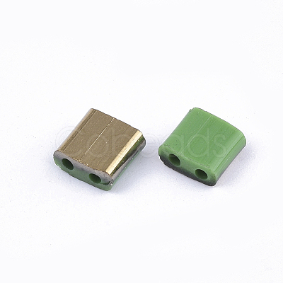 FGB 2-Hole Glass Seed Beads SEED-S031-L-047-G-1