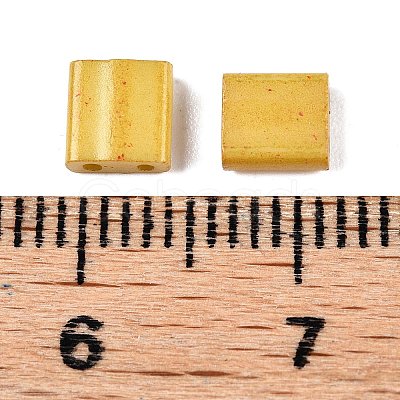2-Hole Baking Paint Glass Seed Beads SEED-S023-17C-22-1
