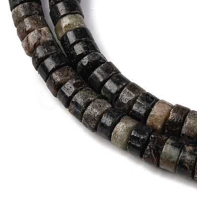 Natural Biotite Beads Strands G-L624-I12-3x6mm-1