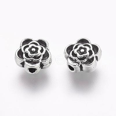 Tibetan Style Alloy Beads X-LF0590Y-1