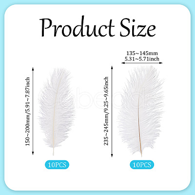 20Pcs 2 Styles Ostrich Feather Costume Accessories FIND-TA0005-96-1