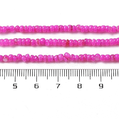 Natural Freshwater Shell Beads Strands SHEL-P017-01B-01-1