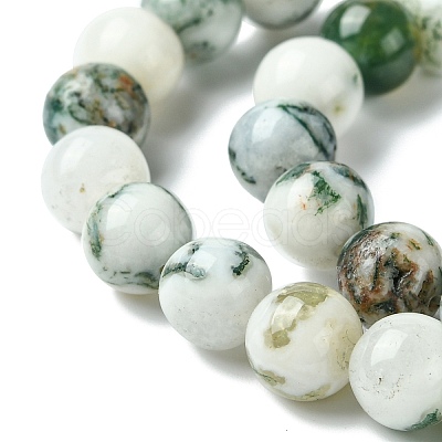 Natural Tree Agate Beads Strands G-K194-8mm-02-1
